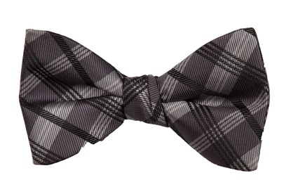 Picture of Charcoal Solid Plaid