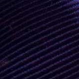 Purple Storm